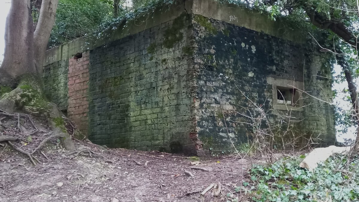 İngiltere'de İkinci Dünya Savaşı döneminden kalma beton sığınak (pillbox)