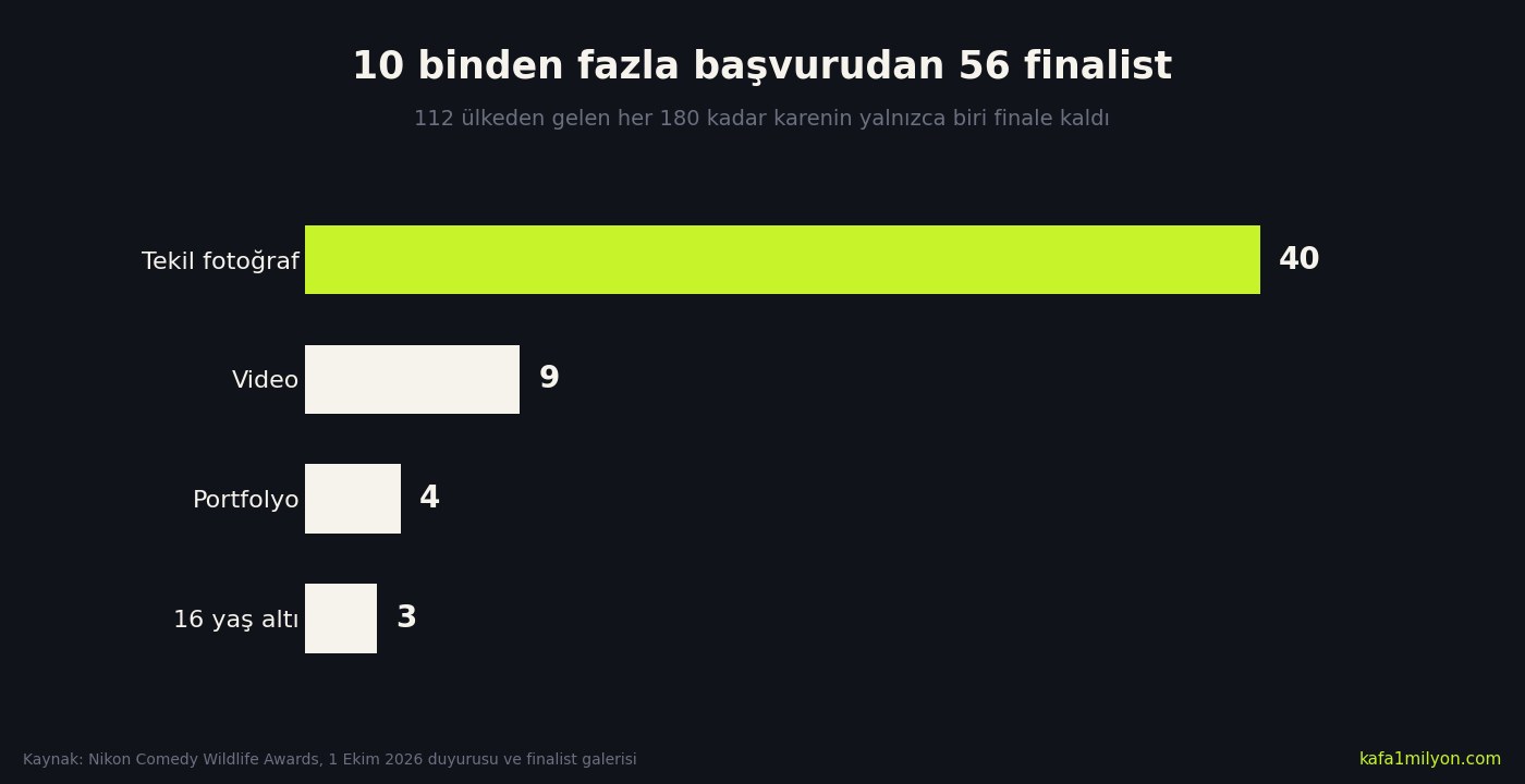 Bilgi grafiği: 2026 Nikon Komedi Vahşi Yaşam Ödülleri finalistleri. Tekil fotoğraf 40, video 9, portfolyo 4, 16 yaş altı 3; toplam 56 finalist, 112 ülkeden 10 binden fazla başvuru