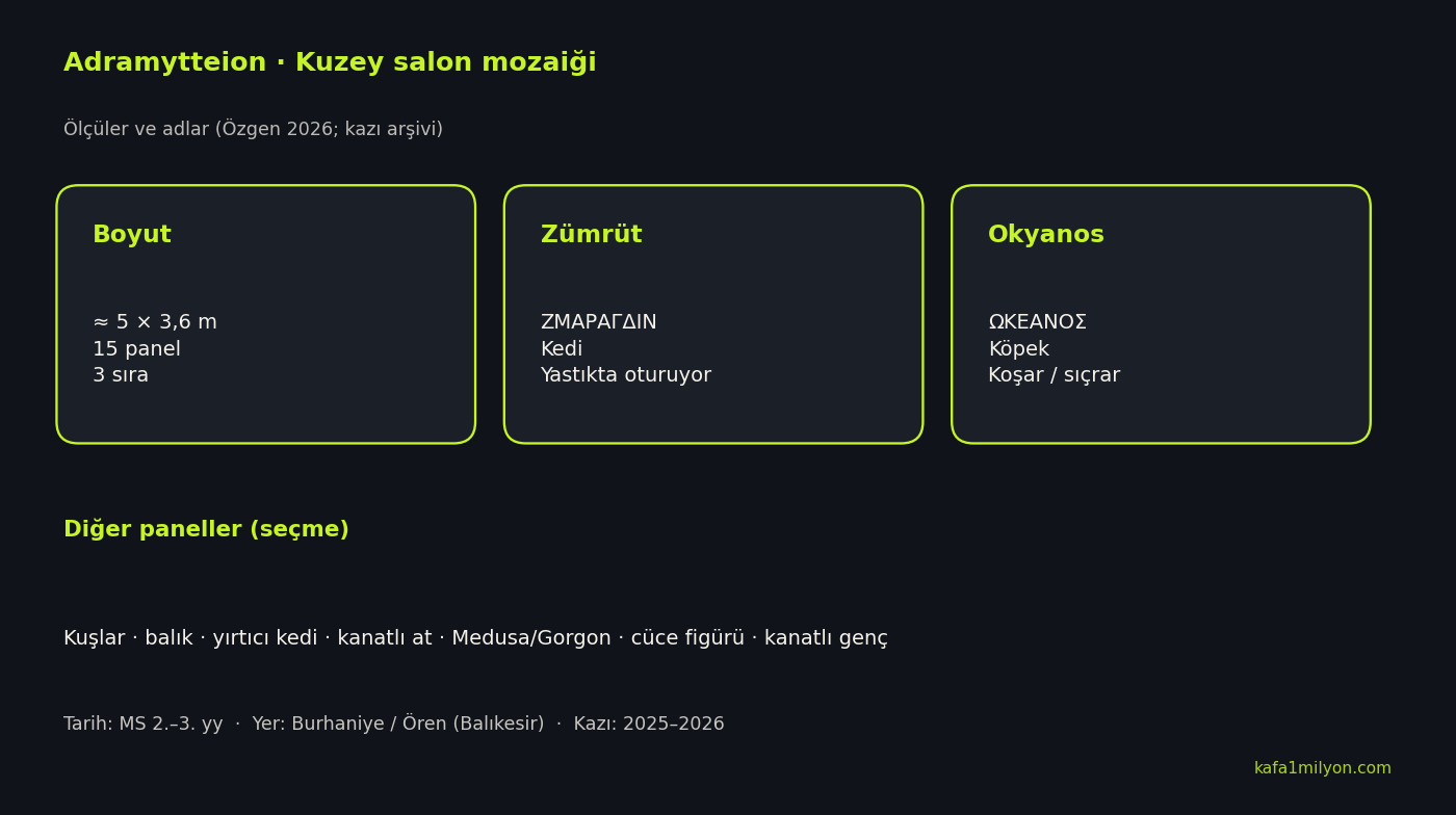 Adramytteion kuzey salon mozaiğinin boyut, Zümrüt ve Okyanos adlarını gösteren bilgi grafiği