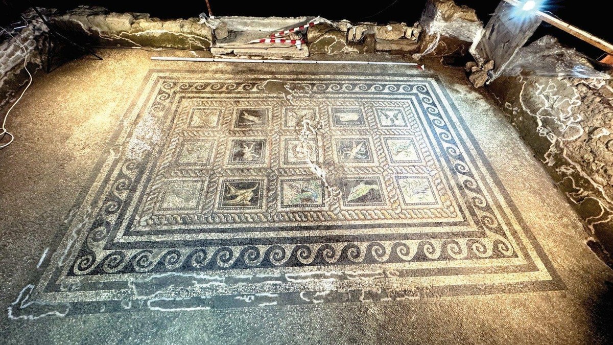 Adramytteion'da atriumlu Roma villasının mozaikli salonlarından birinin genel görünümü