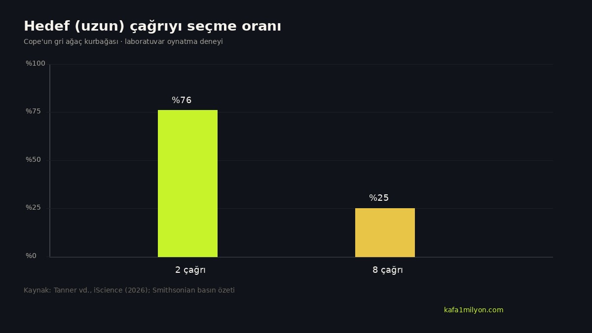 İki ve sekiz çağrıda hedef seçim oranlarını gösteren çubuk grafik
