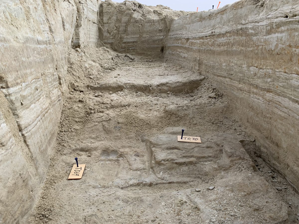 White Sands Ulusal Parkı'nda kazılmış bir hendeğin tabanında, iki işaret kartıyla gösterilen fosil insan ayak izleri ve iki yanda ince katmanlı göl tortusu duvarları