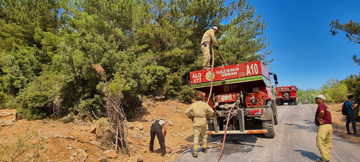 Orman yangını sonrası dumanlı arazi, temsili görsel