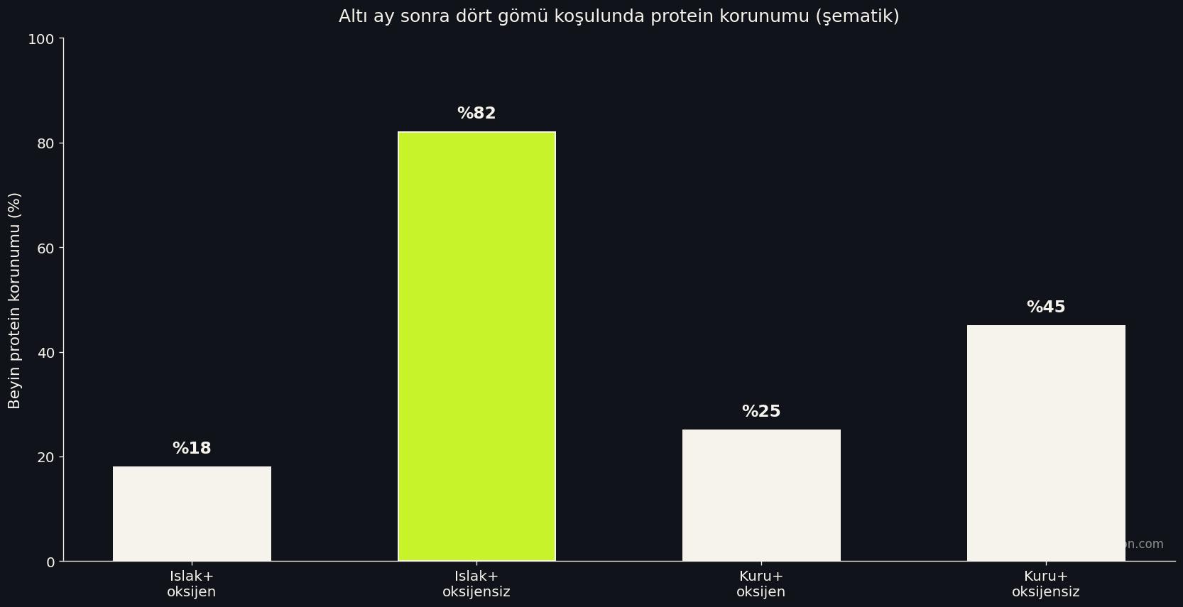 Dört gömü koşulunda beyin proteinlerinin altı aylık korunma düzeyi grafiği
