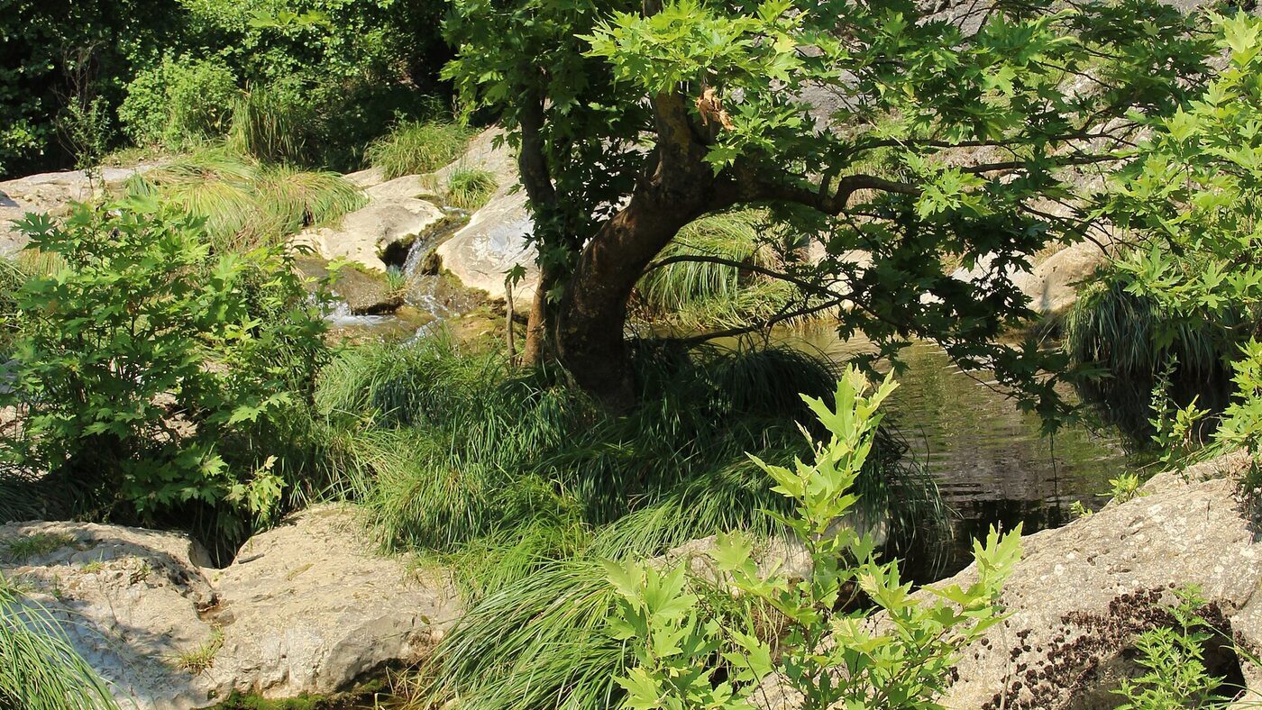 Ballıkayalar Tabiat Parkı kanyonu, 2014