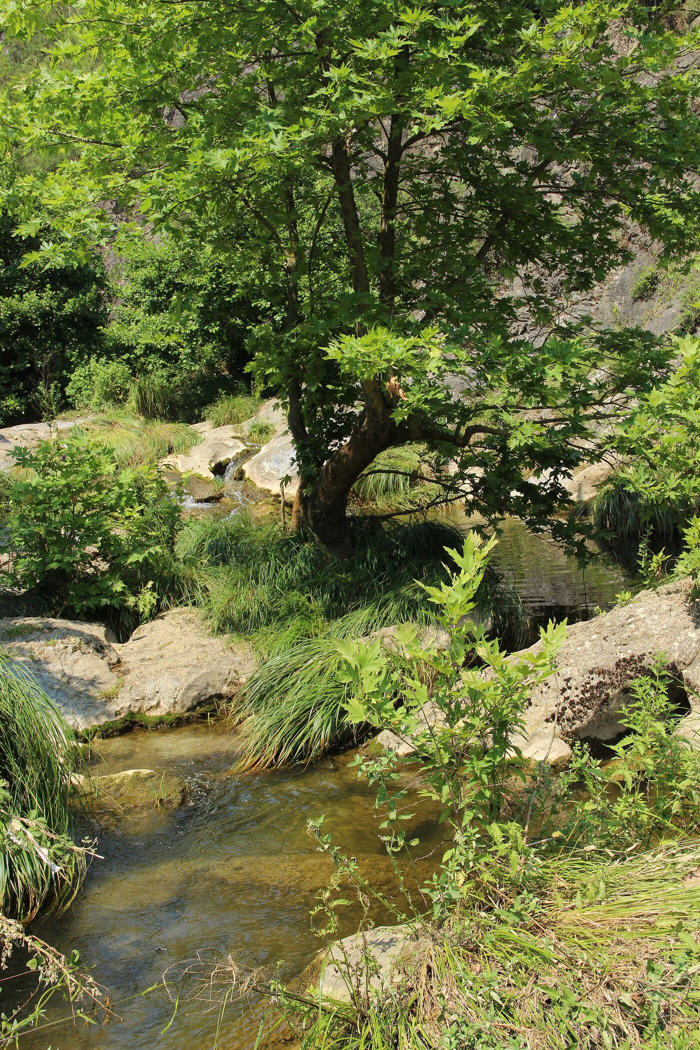 Ballıkayalar kanyon derinliği