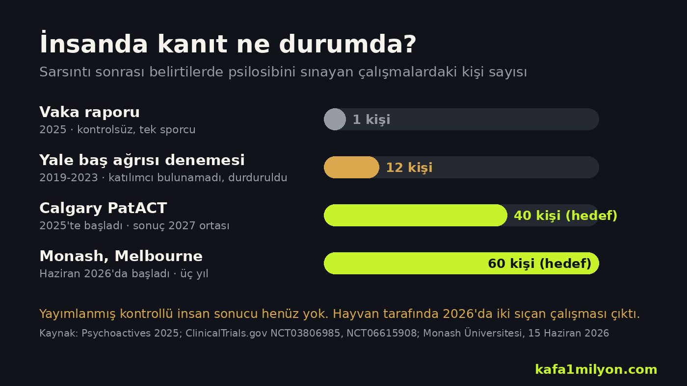 Sarsıntı sonrası belirtilerde psilosibini sınayan vaka raporu, Yale, Calgary ve Monash çalışmalarındaki kişi sayılarını gösteren grafik