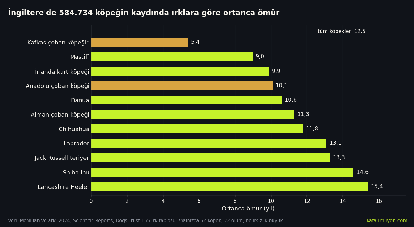 İngiltere'deki köpek kayıtlarına göre on bir ırkın ortanca ömrünü gösteren yatay çubuk grafik: Kafkas çoban köpeği 5,4, Mastiff 9,0, Danua 10,6, Chihuahua 11,8, Labrador 13,1, Lancashire Heeler 15,4 yıl