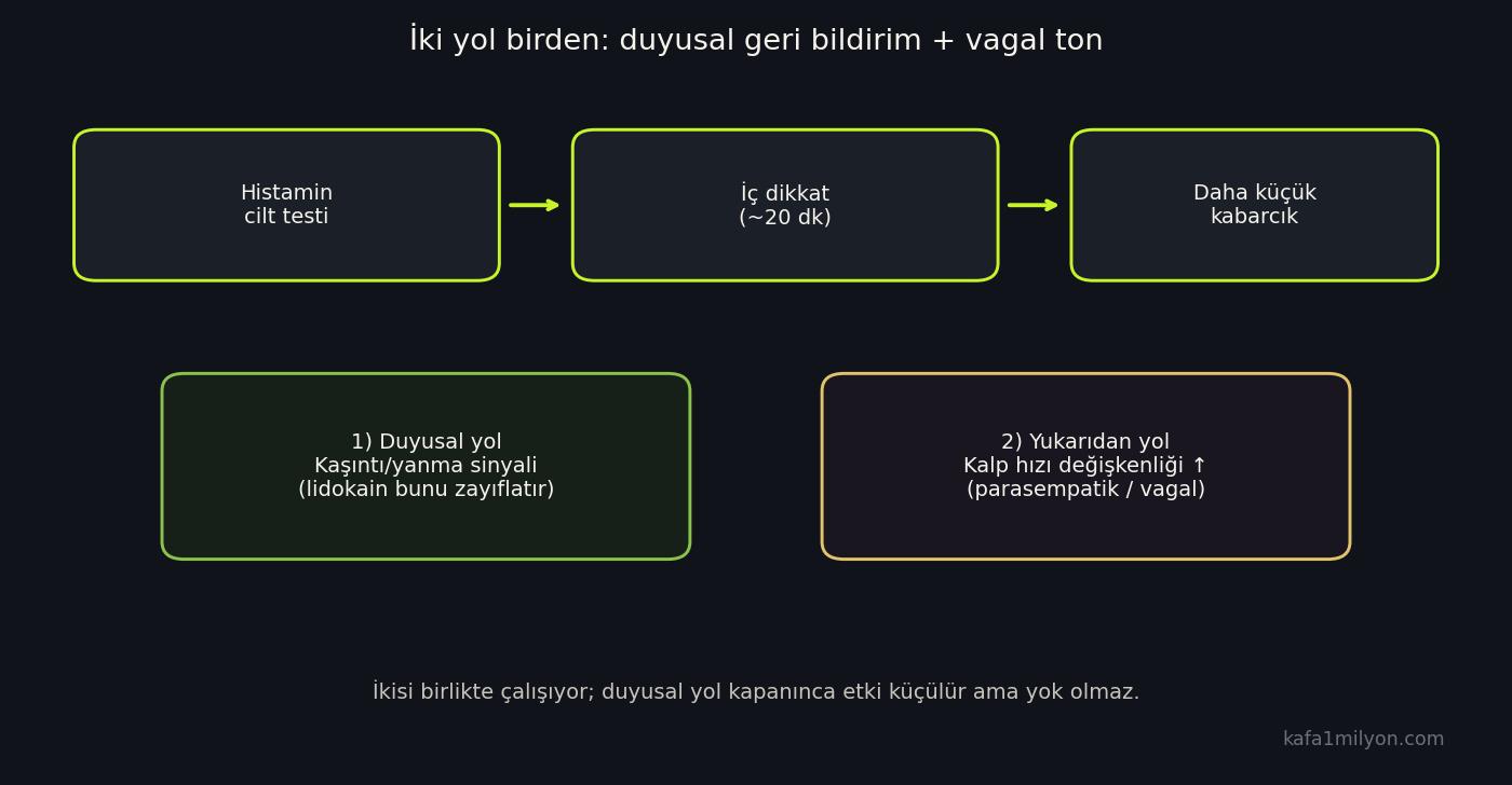 Duyusal geri bildirim ve vagal ton yollarını gösteren şema