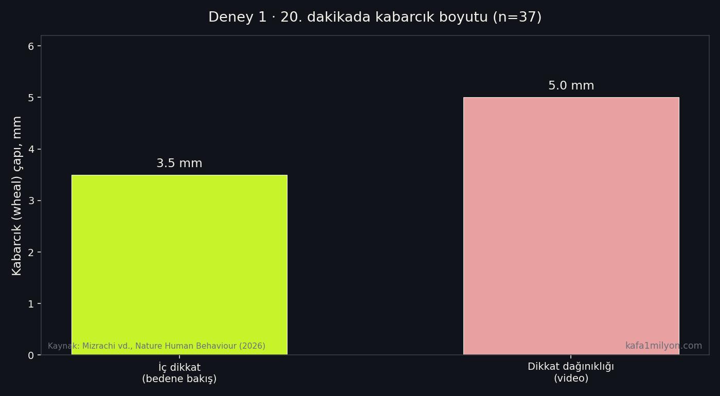 İç dikkat ve dikkat dağınıklığı koşullarında 20. dakikadaki kabarcık çapı karşılaştırması