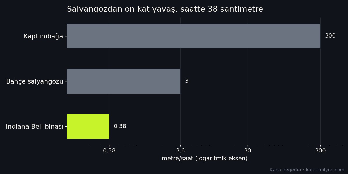 Logaritmik çubuk grafik: kaplumbağa saatte 300 metre, bahçe salyangozu 3,6 metre, Indiana Bell binası 0,38 metre