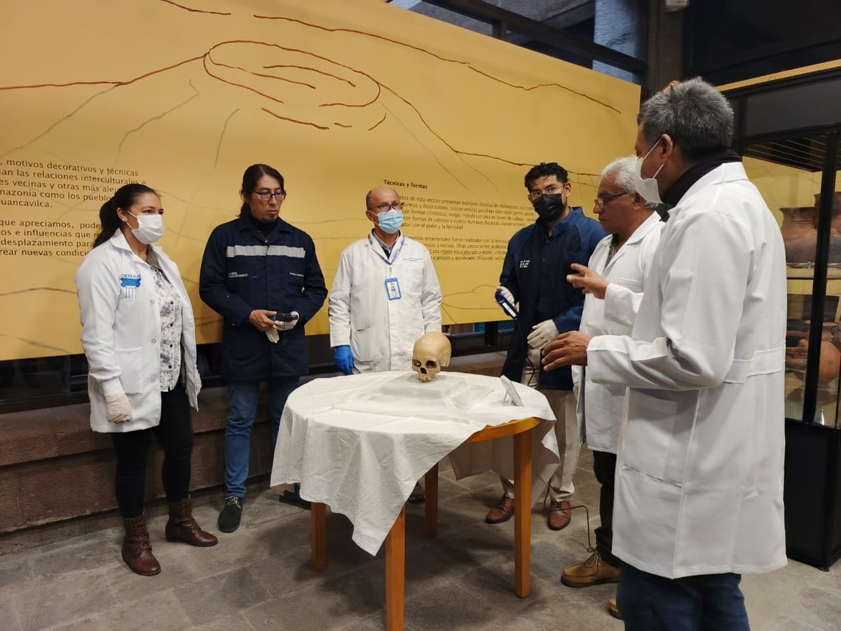 Beyaz örtülü küçük bir masanın üzerinde duran Punín-2 kafatası ve çevresinde önlüklü, maskeli altı uzman