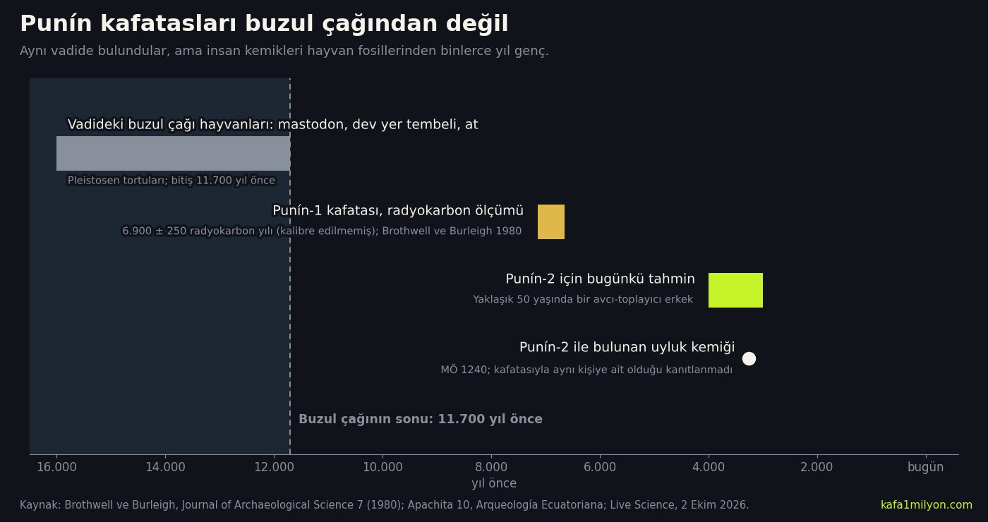 Zaman çizelgesi grafiği: vadideki buzul çağı hayvanları 11.700 yıldan eski, Punín-1 kafatası yaklaşık 6.900 radyokarbon yılı, Punín-2 için tahmin 4.000 ile 3.000 yıl önce, yanında bulunan uyluk kemiği MÖ 1240