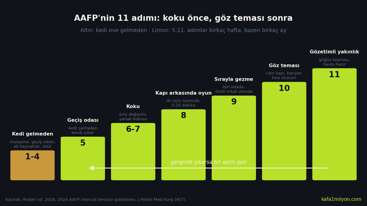 AAFP 2024 kılavuzundaki 11 tanıştırma adımını basamak basamak gösteren grafik