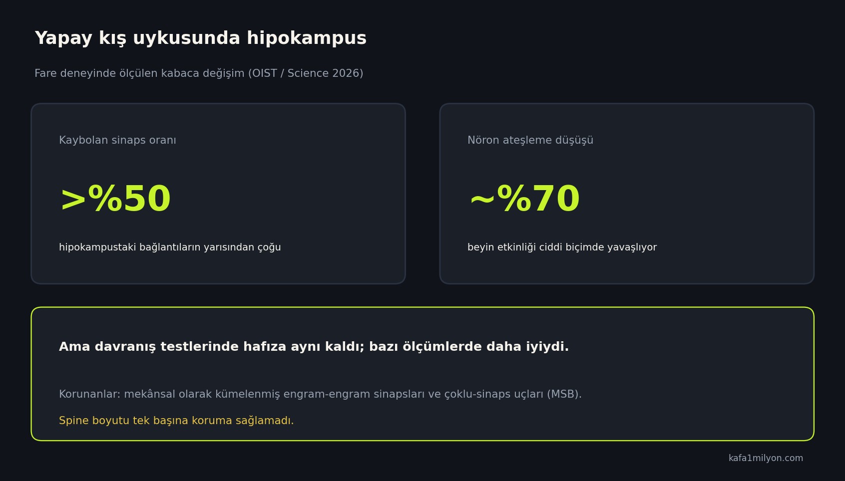 Yapay kış uykusunda hipokampusta sinaps kaybı ve ateşleme düşüşünü gösteren grafik