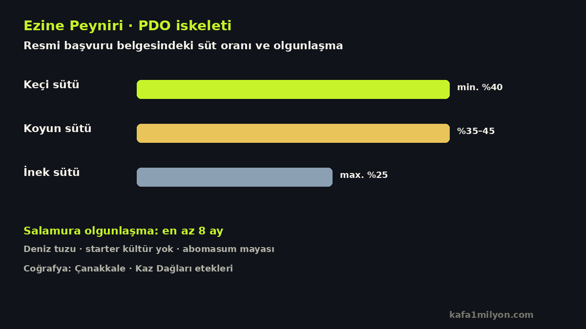 Ezine peynirinde süt oranları ve 8 aylık salamura infografiği