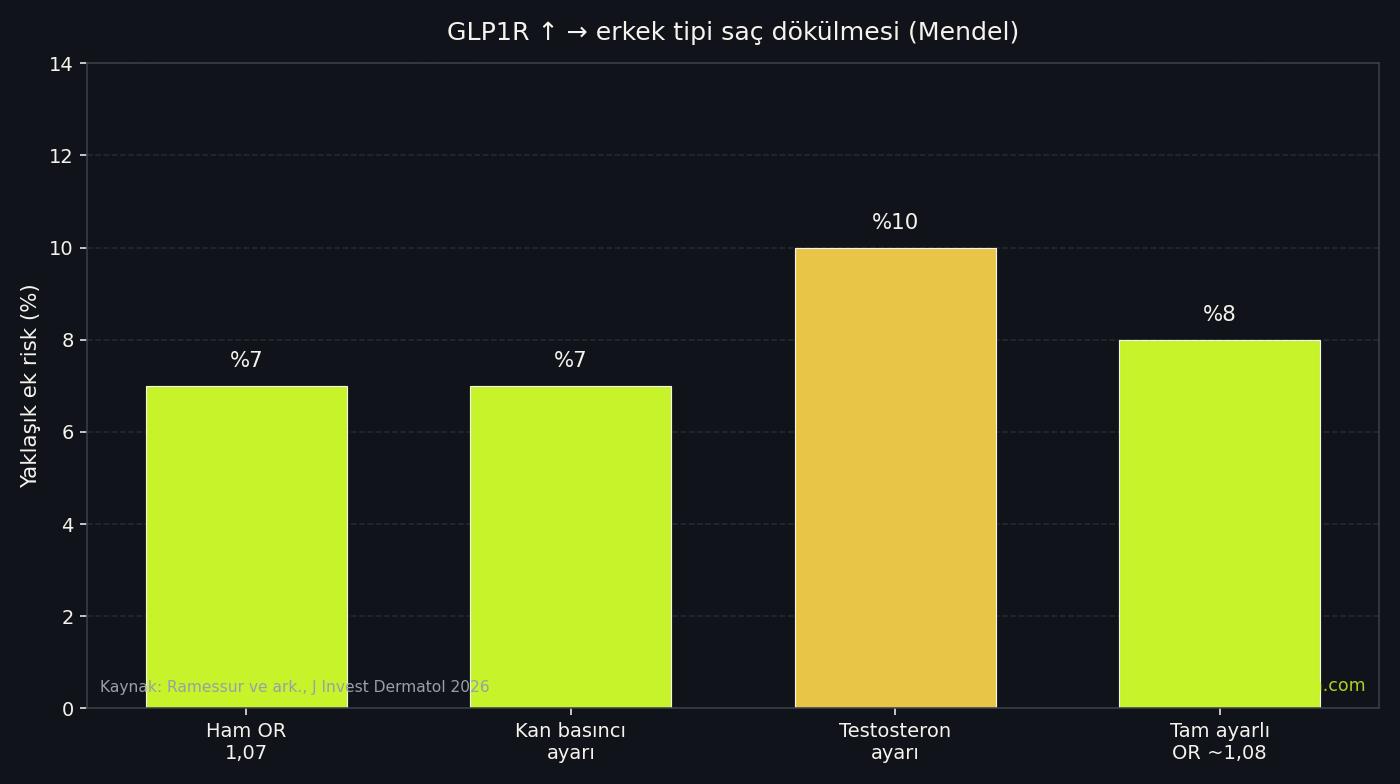 GLP-1 ile erkek tipi saç dökülmesi çalışmasının ana sayıları
