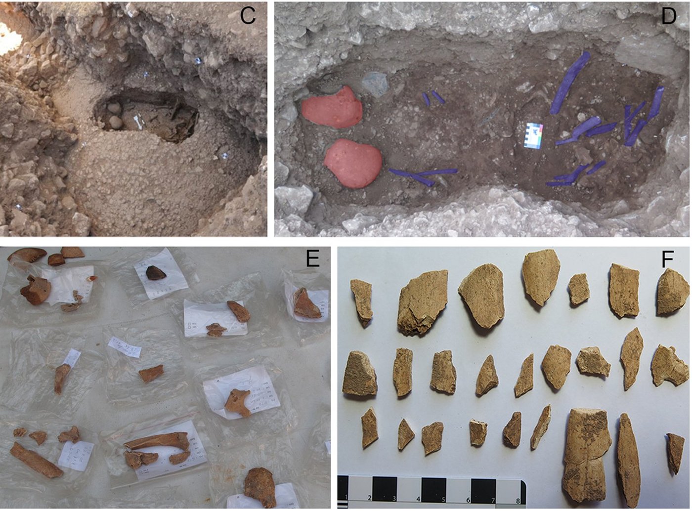 Göbeklitepe toplu mezarı, kafataslarının ve uzun kemiklerin renklendirilmiş yerleri ile yapı dolgusundan toplanan dağınık kemik parçaları