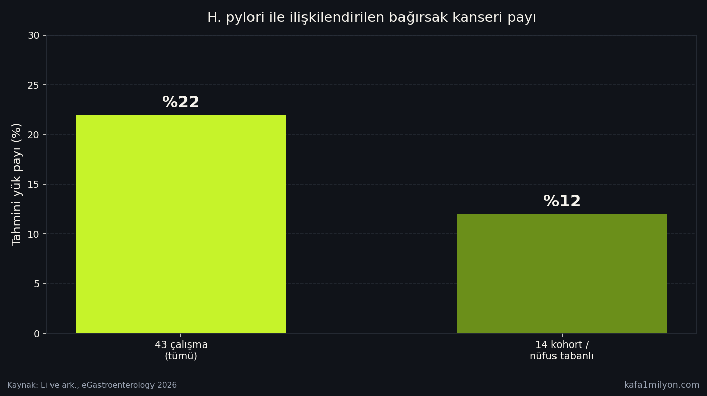 Tüm çalışmalar ile kohort alt kümesinde H. pylori ile ilişkilendirilen bağırsak kanseri payını gösteren çubuk grafik