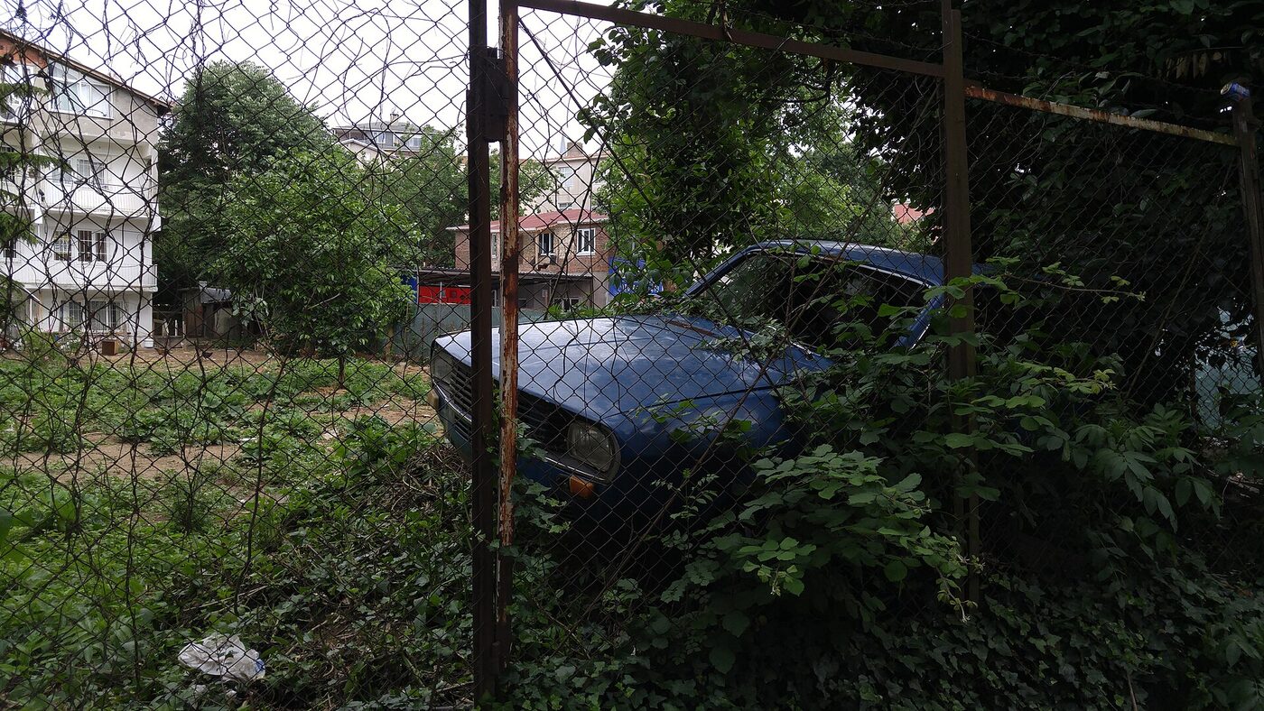 Orman yolu ve yaprak dökümü
