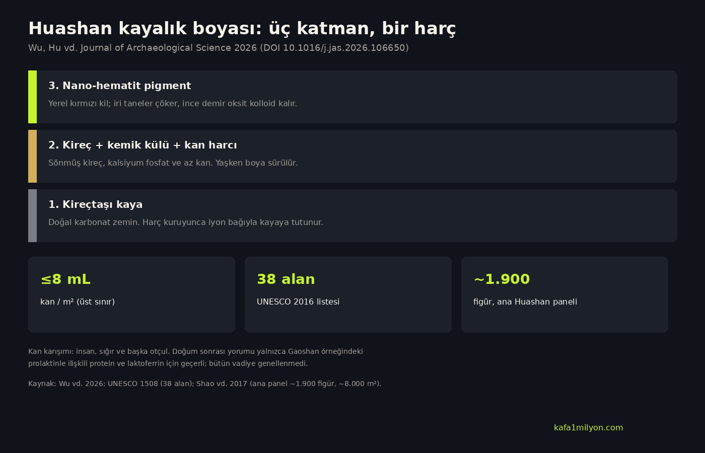 Huashan boyasının üç katmanı ve metrekareye en fazla sekiz mililitre kan üst sınırı