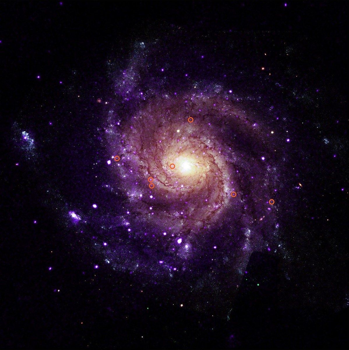 M101 Pinwheel Galaksisi bileşik görüntüsünde hypersoft kaynaklar işaretli