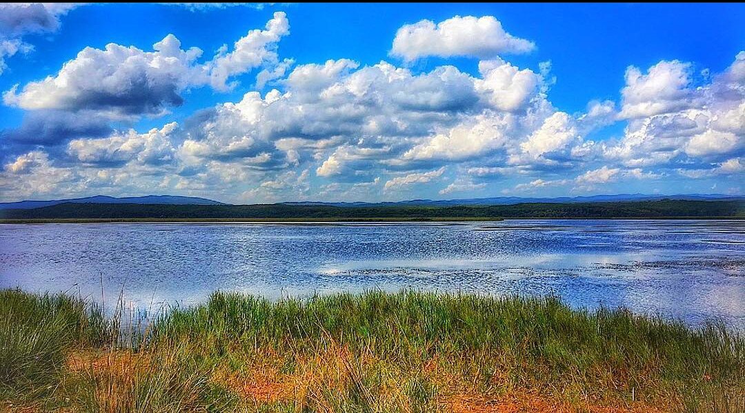 Mert Gölü'nün sazlık kıyısından panoramik görünüm