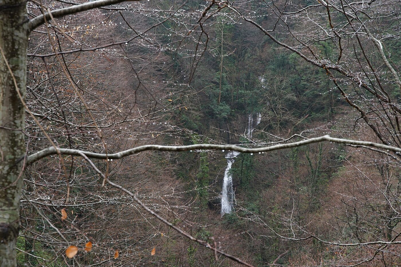 Beşkayalar Tabiat Parkı kış