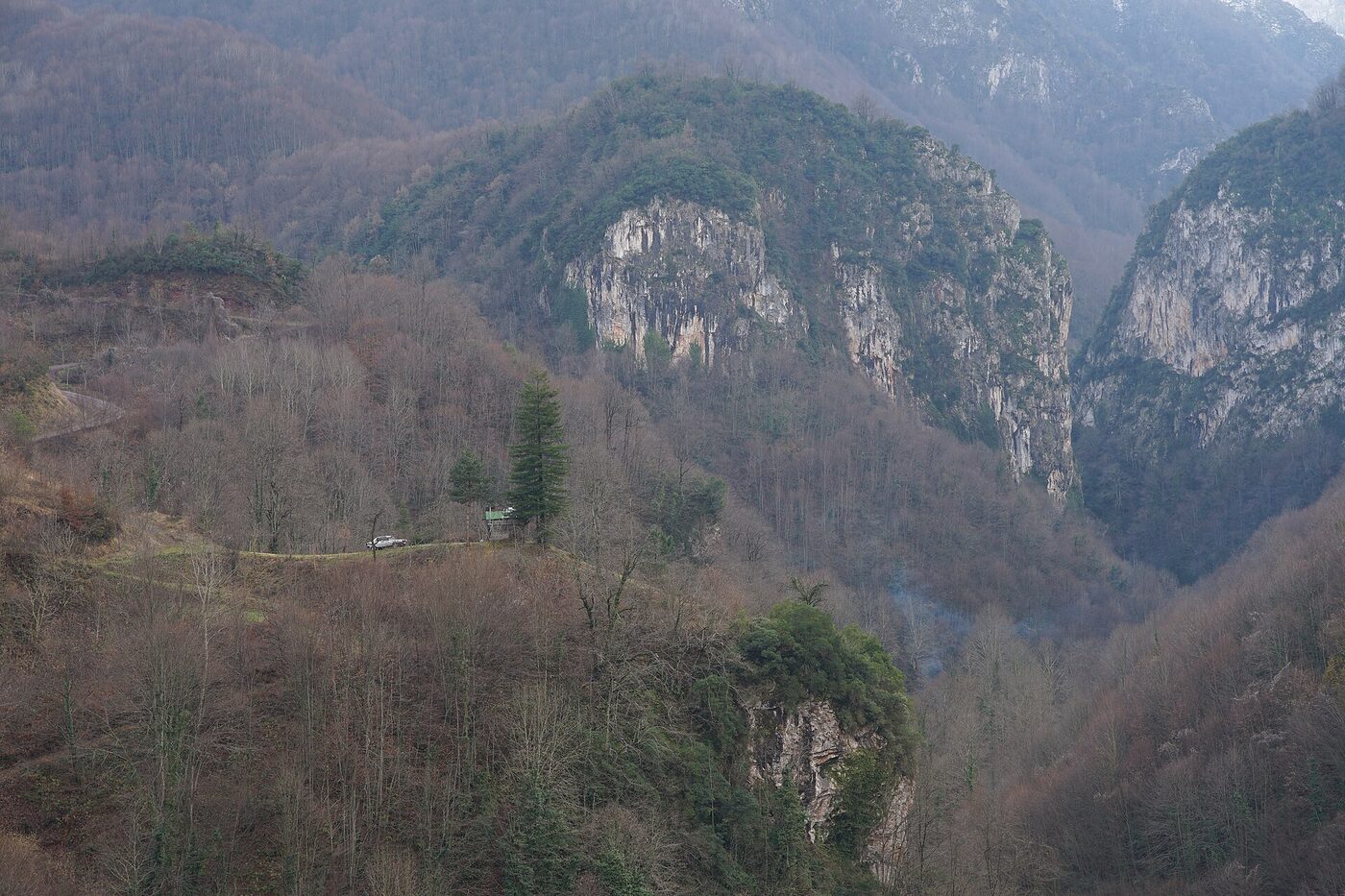 Beşkayalar Tabiat Parkı ormanı