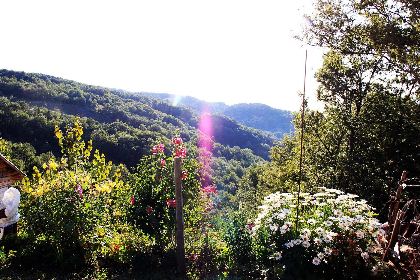 Eskiyayla köy manzarası