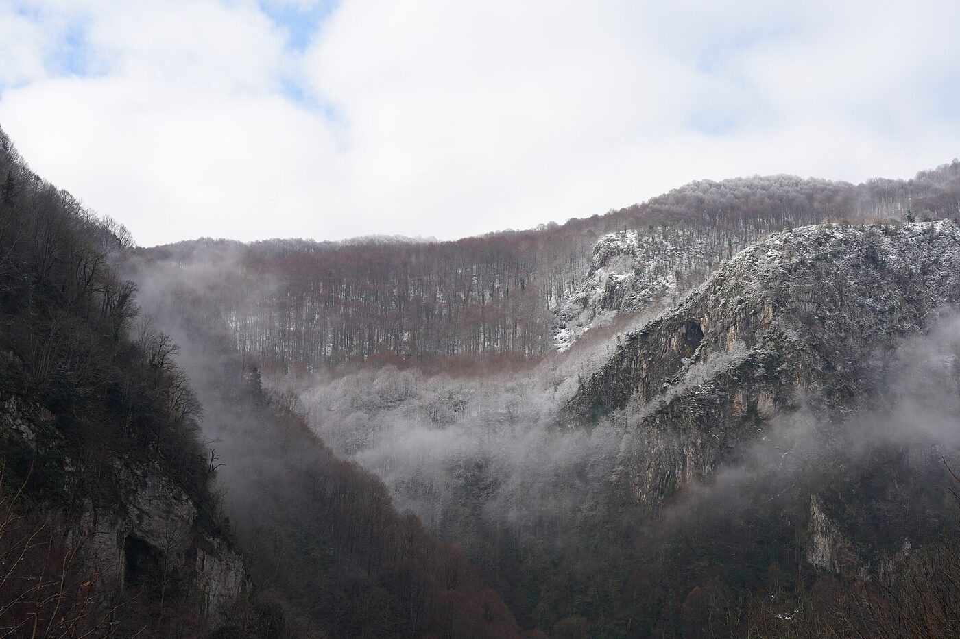 Beşkayalar orman patikası