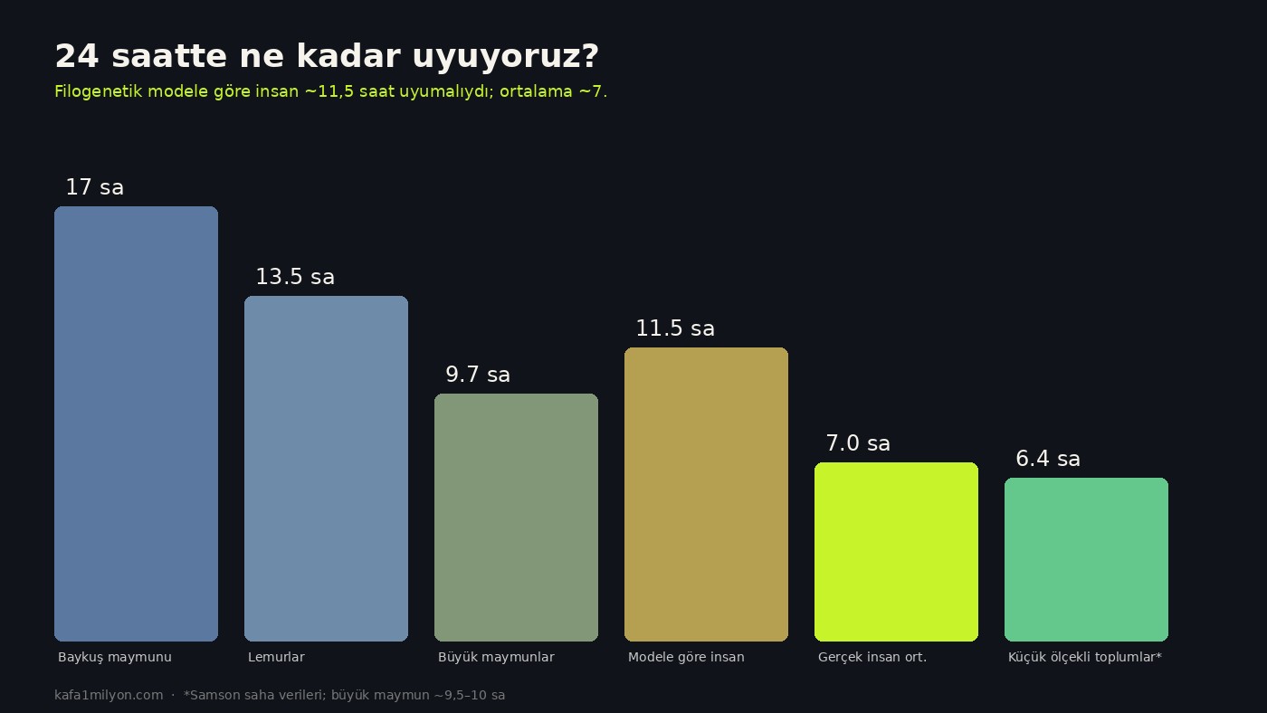 Primatlar ve insanın uyku sürelerini karşılaştıran çubuk grafik