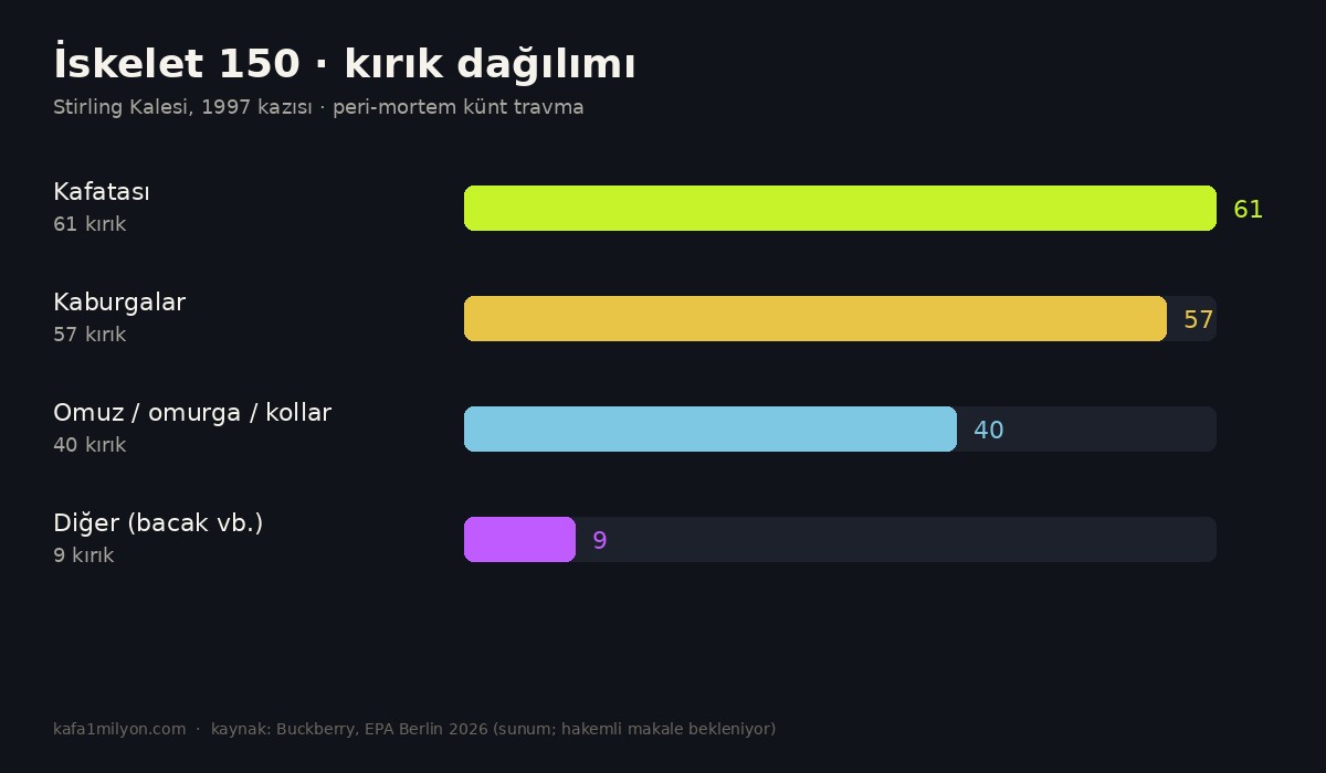 İskelet 150'deki kırık sayılarını gösteren bilgi grafiği