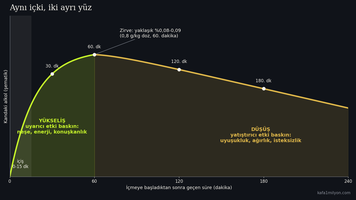 İçmeye başladıktan sonra kandaki alkolün yükselip 60. dakikada zirve yapması ve ardından yavaşça düşmesini gösteren şematik eğri; yükseliş uyarıcı, düşüş yatıştırıcı etkiyle işaretli