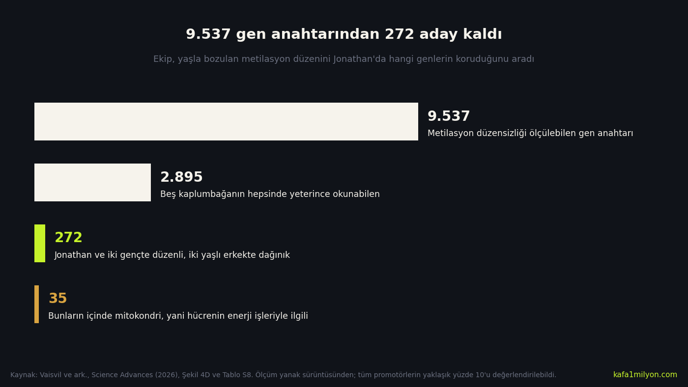 Ölçülebilen 9.537 gen anahtarından beş kaplumbağada okunabilen 2.895'e, oradan Jonathan'da düzenli kalan 272'ye ve bunların 35 mitokondri genine inen eleme grafiği