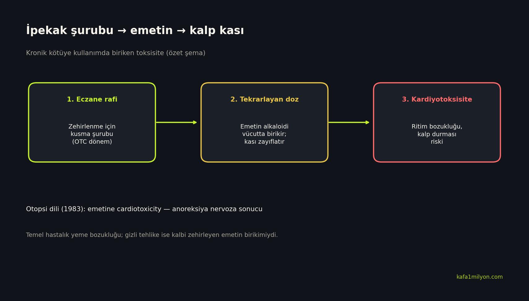 İpekak şurubundan emetin birikimine ve kardiyotoksisiteye giden şema