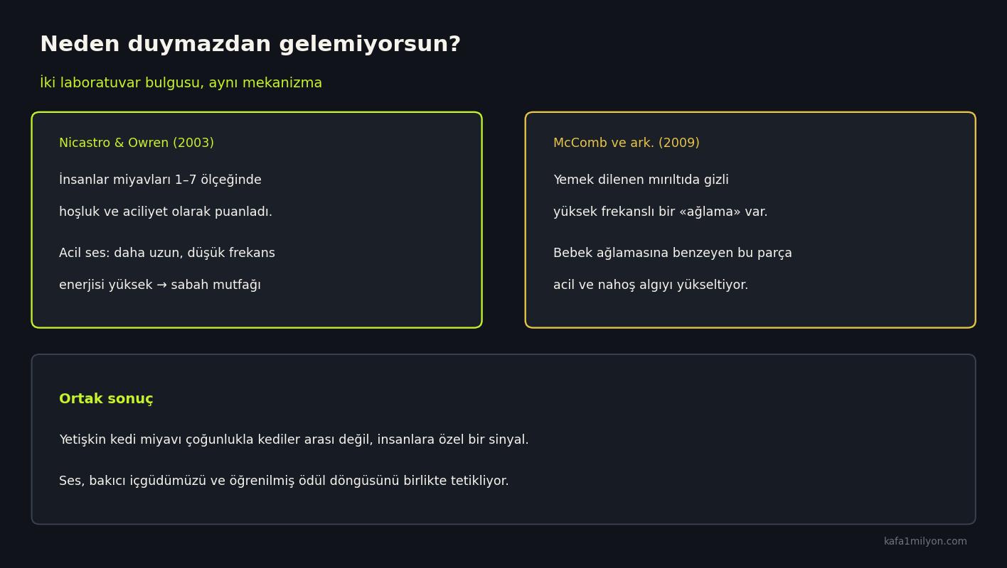 Nicastro 2003 ve McComb 2009 bulgularını özetleyen bilgi grafiği