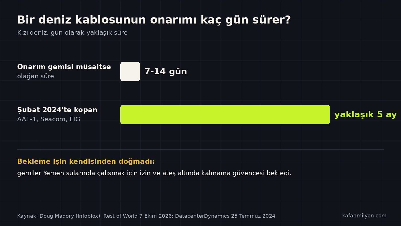 Bir deniz kablosunun normal onarım süresi olan bir iki hafta ile 2024'te Kızıldeniz'de kopan üç kablonun yaklaşık beş ay süren onarımını karşılaştıran yatay çubuk grafik
