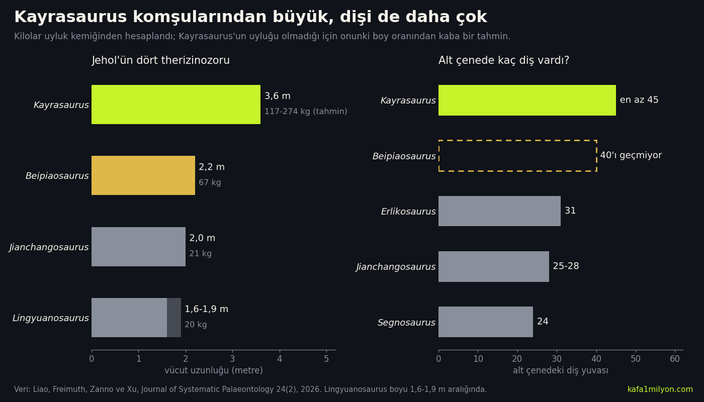İki panelli çubuk grafik. Solda dört Jehol therizinozorunun boyu: Kayrasaurus 3,6 metre ve 117-274 kilogram, Beipiaosaurus 2,2 metre ve 67 kilogram, Jianchangosaurus 2 metre ve 21 kilogram, Lingyuanosaurus 1,6-1,9 metre ve 20 kilogram. Sağda alt çenedeki diş yuvası sayısı: Kayrasaurus en az 45, Beipiaosaurus 40'ın altında, Erlikosaurus 31, Jianchangosaurus 25-28, Segnosaurus 24