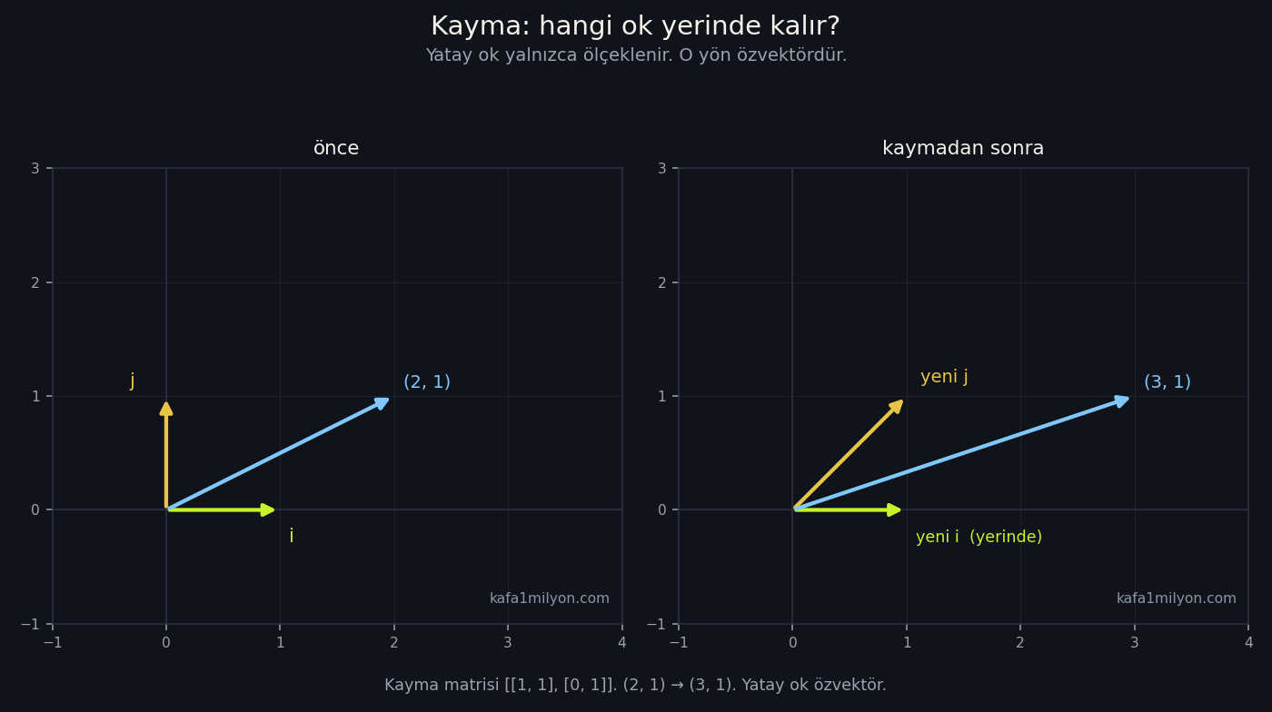 Kayma dönüşümü: yatay ok yerinde kalır, (2,1) noktası (3,1)'e gider
