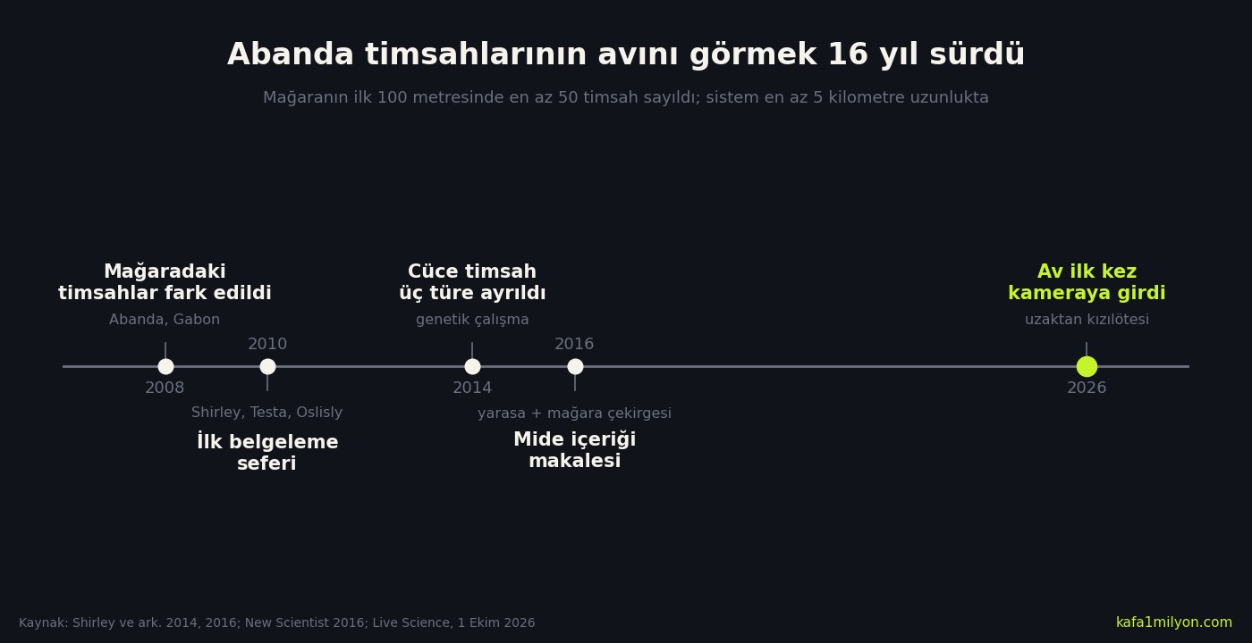 Bilgi grafiği: Abanda timsahları için zaman çizelgesi. 2008 mağaradaki timsahlar fark edildi, 2010 ilk belgeleme seferi, 2014 cüce timsah üç türe ayrıldı, 2016 mide içeriği makalesi, 2026 av ilk kez kameraya girdi