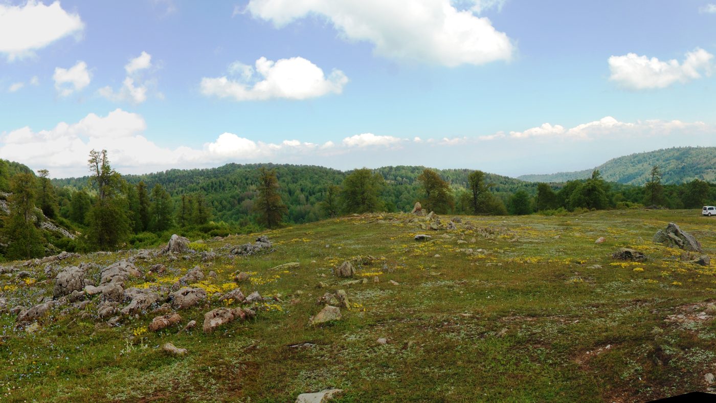 Samanlı Dağları yayla çayırı
