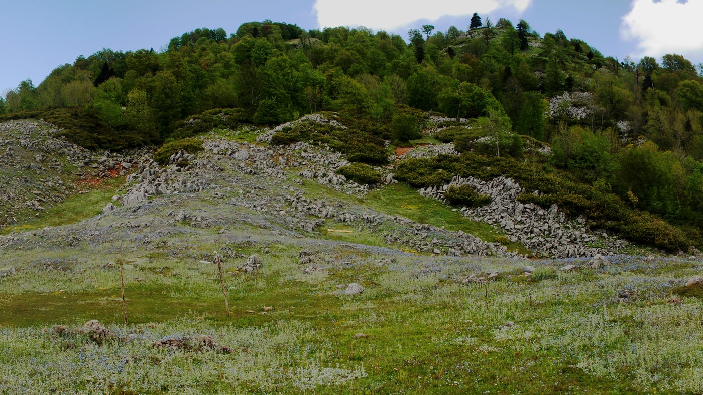 Samanlı Dağları'nda yayla çayırı panoraması