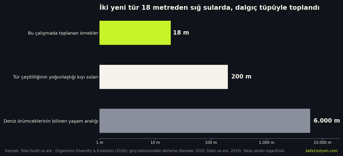 Deniz örümceklerinin yaşadığı derinlik aralıklarını gösteren grafik: bu çalışmada 18 metre, tür çeşitliliğinin yoğunlaştığı kıyı suları 200 metre, bilinen yaşam aralığı 6.000 metre
