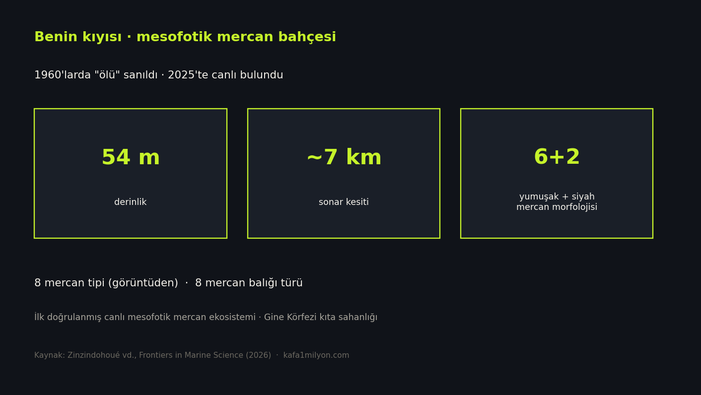 Benin mesofotik mercan bahçesi: 54 metre derinlik, yaklaşık 7 kilometre sonar kesiti, altı artı iki mercan morfolojisi