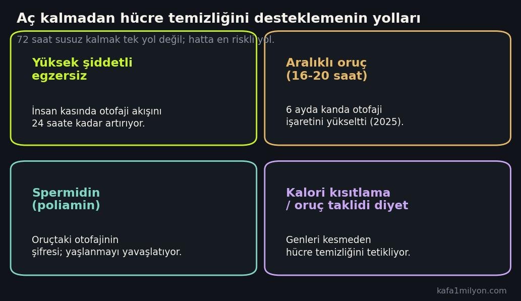 Aç kalmadan otofajiyi destekleyen yollar: egzersiz, aralıklı oruç, spermidin, kalori kısıtlama