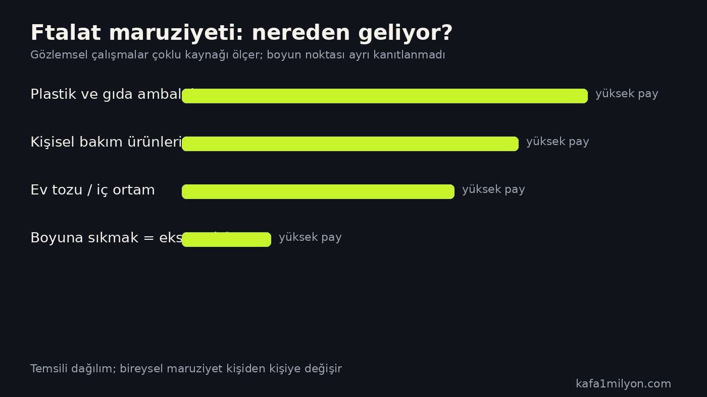 Ftalat maruziyet kaynaklarının göreli dağılımını gösteren bilgi grafiği