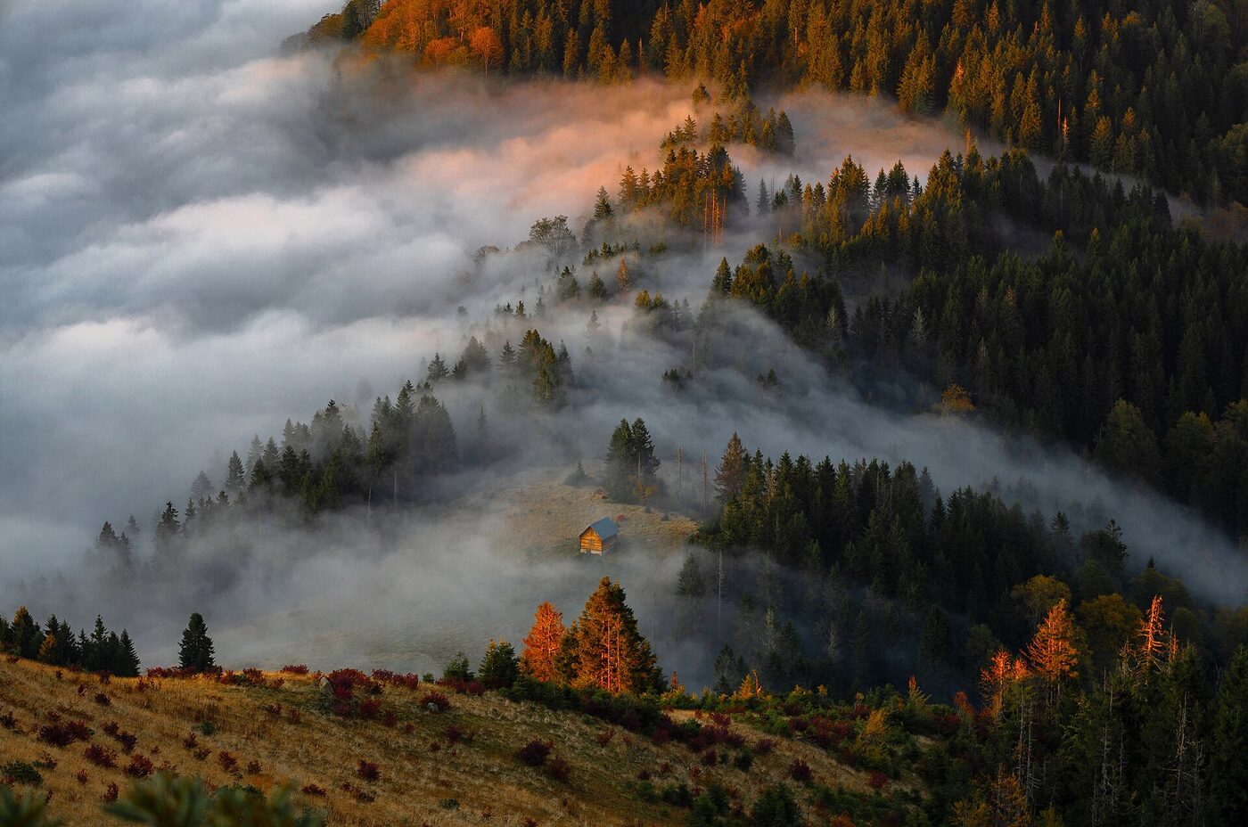 Sis içindeki orman sırtında tek bir yayla evi, altın saat ışığı