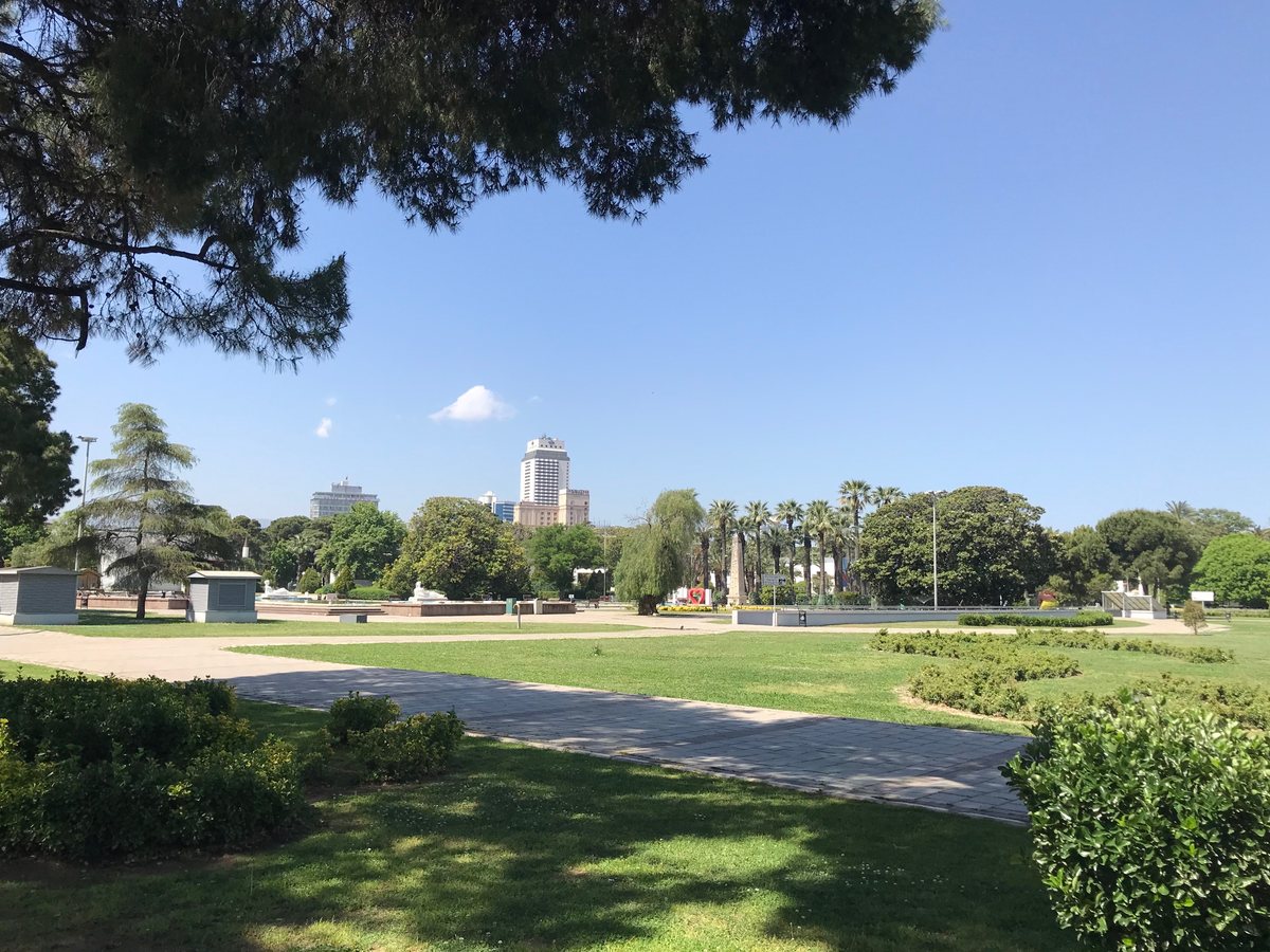Güneşli bir günde Kültürpark’ın çimenleri, yürüyüş yolları ve palmiyeleri; arkada İzmir’in yüksek binaları