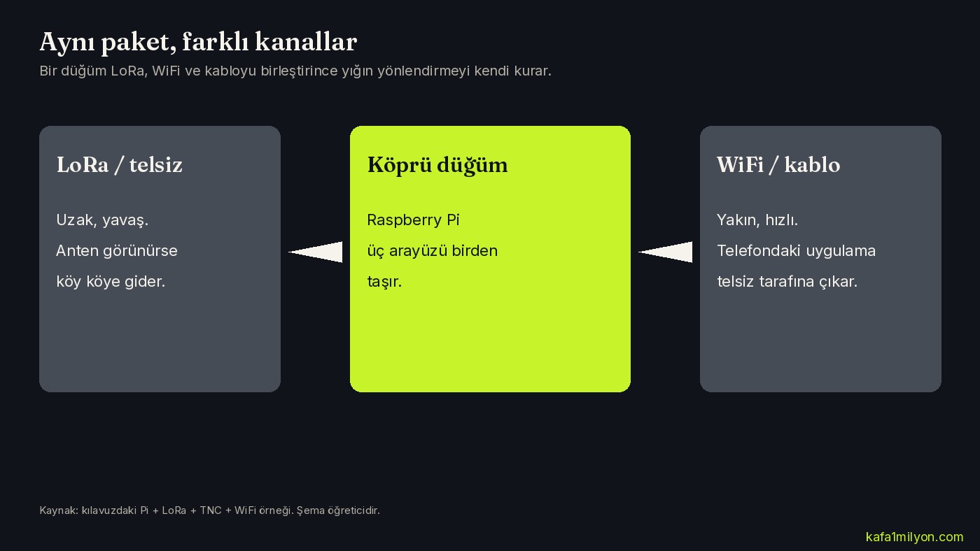 LoRa, köprü düğüm ve WiFi kanallarının aynı ağa bağlandığını gösteren üç kutulu şema
